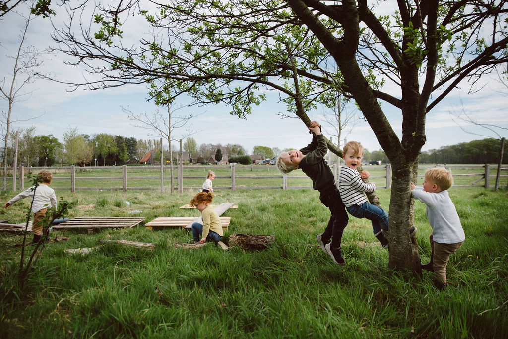 kinderopvang-terheijden-spelen-boom